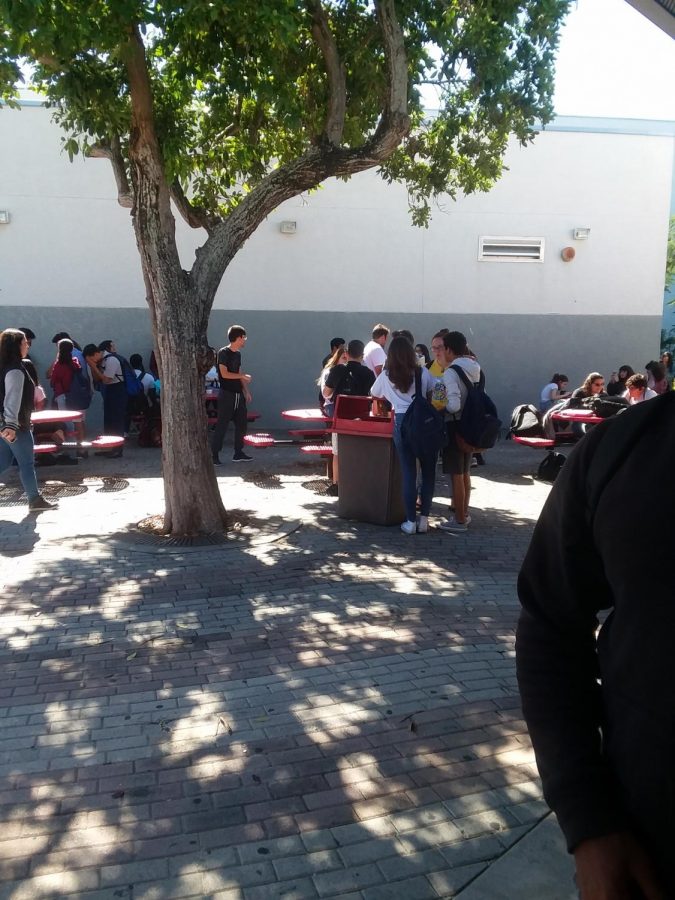 students eating a healthy lunch