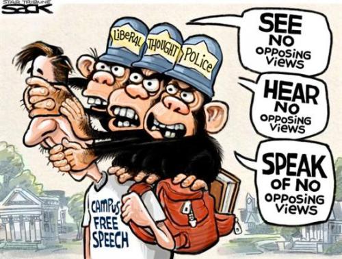 political-cartoon-monkey-see-no-free-expression