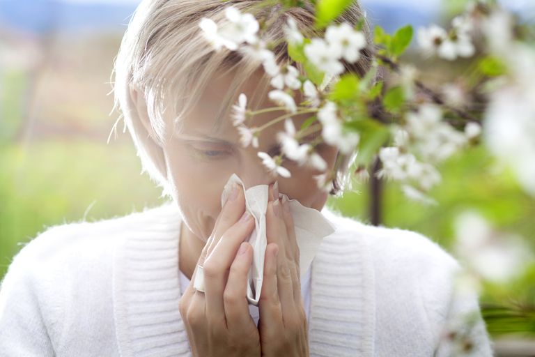 Allergies never made anyones life easier, just more stuffy.-Nayelli Rivera
