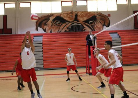 Boys Volleyball Smash into Districts