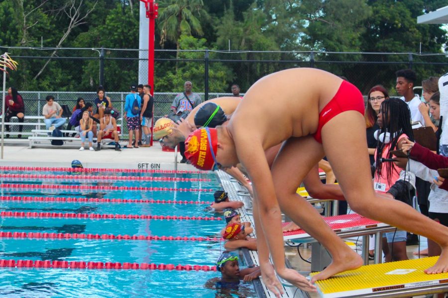 Athlete prepares to dive off platform during 200 yard boys freestyle at South Broward swimming competition on October 10, 2019.