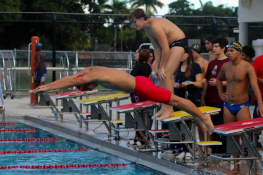 Athlete dives off platform during 200 yard boys freestyle at South Broward swimming competition on October 10, 2019.