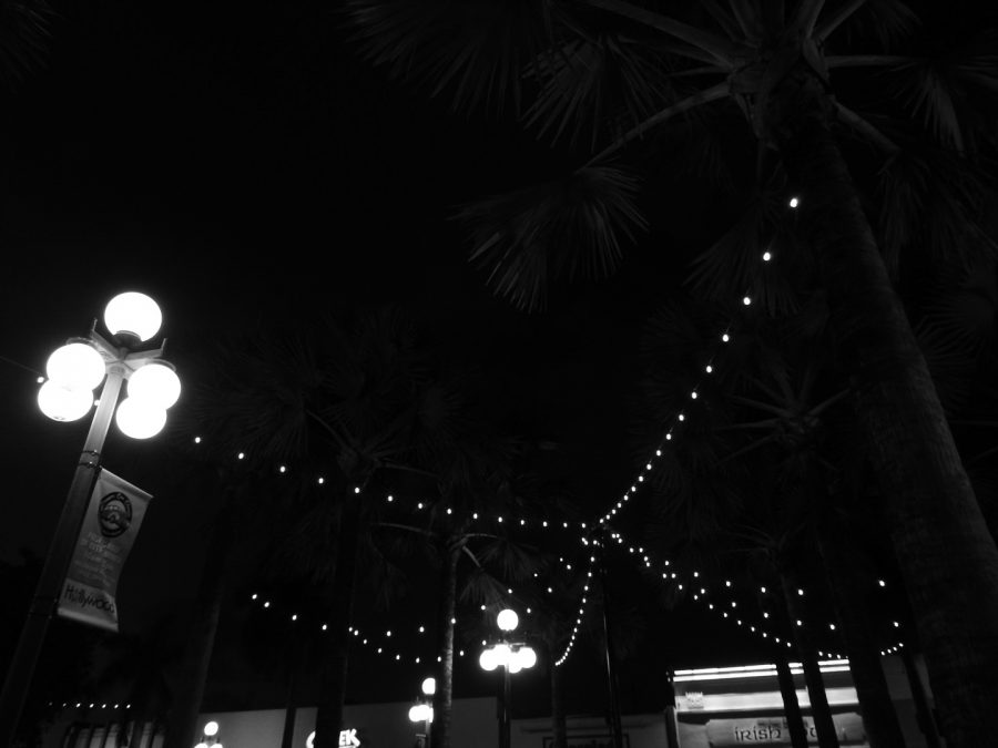 Fairy Lights brighten the center point of Downtown Hollywood near restaurants. 