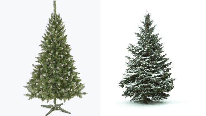 Real vs Fake Christmas Trees