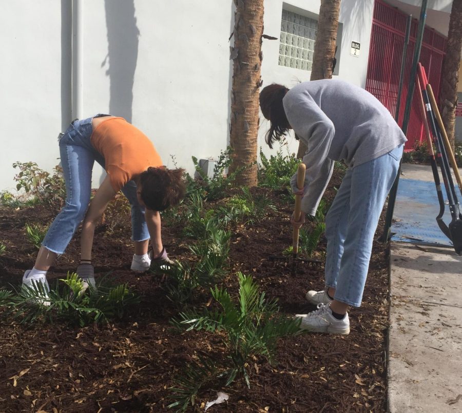 On Febuary 8th 2020, sutdents, teachers, and some PTA, came together to brighten up South Browards campus. Voluenteers called this Beautification day and participated in planting, painting, cleaning, and other small fixes to our campus.