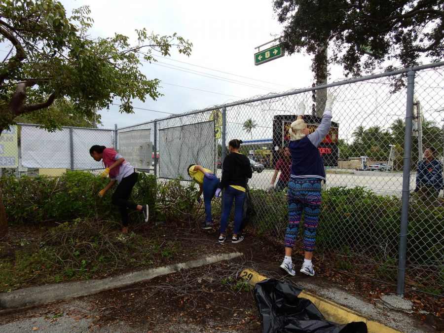 Students clean the fence at South Broward. These students carefully take out vines that have grown on the fence over the years.
