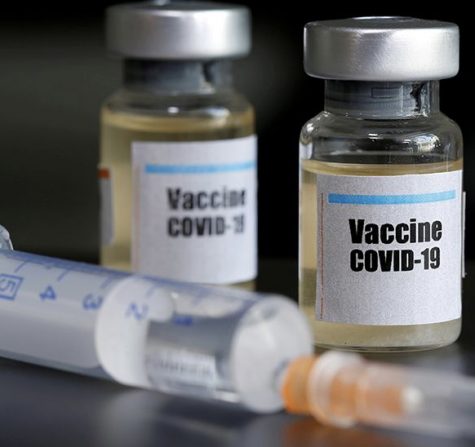The Distribution of Covid-19 Vaccines