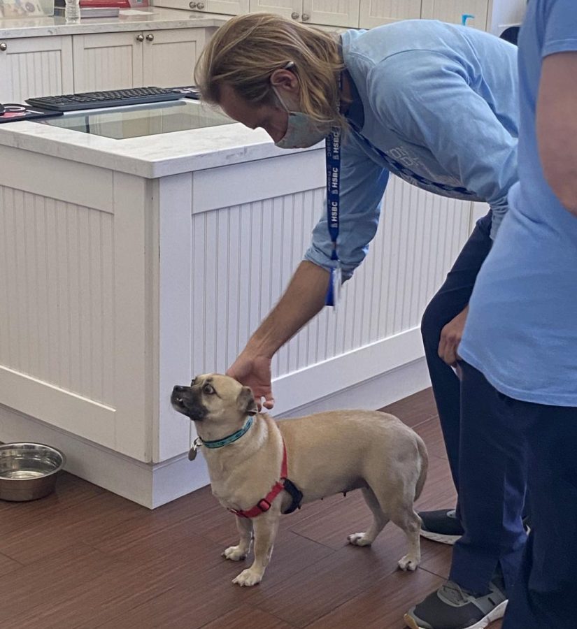 The employees said their goodbyes to their furry friend. They make such deep bonds with these animals and are so sad to see them go but excited for their new futures. Many dogs don’t have the opportunity to make it to a home.  
