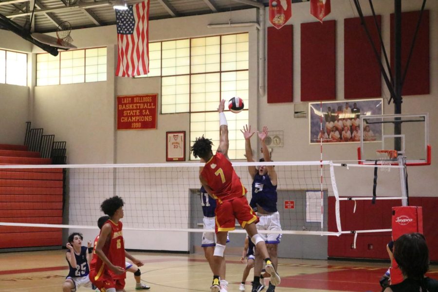 SBHS senior Cameron Thorne (7)  rises up for a vigorous spike against a tough Cypress Bay opponent. Thorne proceeded to finish the game with 22 kills and a victory.