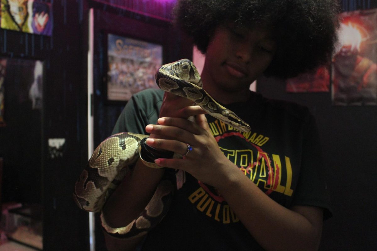 SBHS+Junior+student%2C+Onya+GoLightly+holds+her+Ball+Python+snake+also+known+as+Osceola.