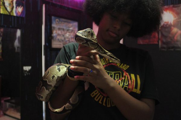 SBHS Junior student, Onya GoLightly holds her Ball Python snake also known as Osceola.