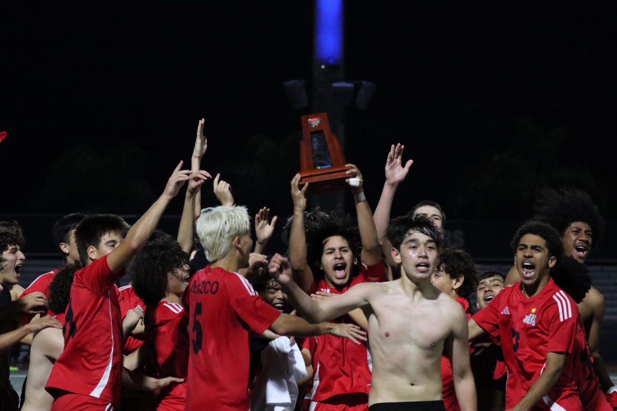 The SBHS boys can't contain their excitement as they triumphantly hoist their District Championship trophy into the air.